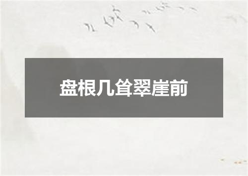 盘根几耸翠崖前