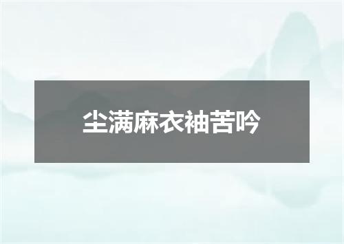 尘满麻衣袖苦吟