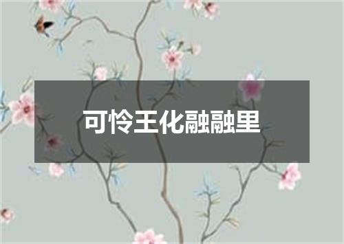 可怜王化融融里