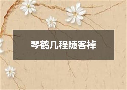 琴鹤几程随客棹
