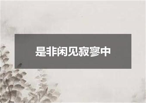 是非闲见寂寥中