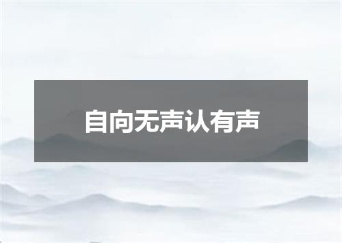自向无声认有声