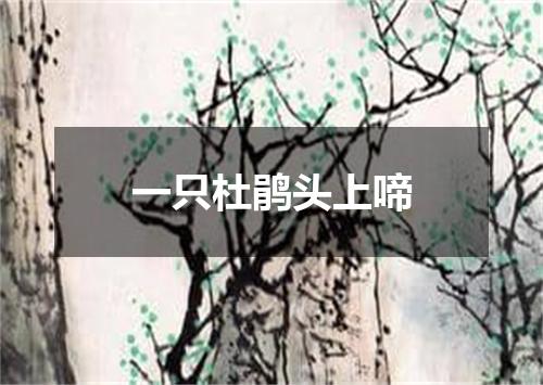 一只杜鹃头上啼