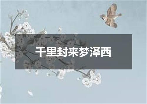 千里封来梦泽西