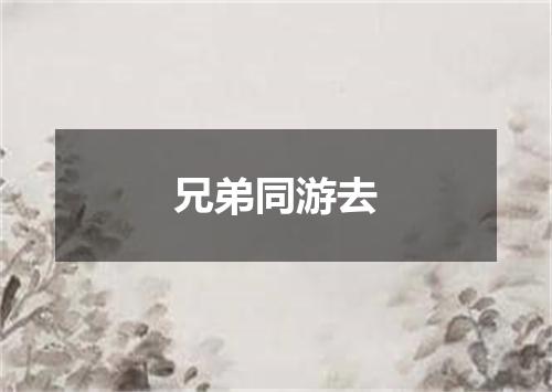 兄弟同游去