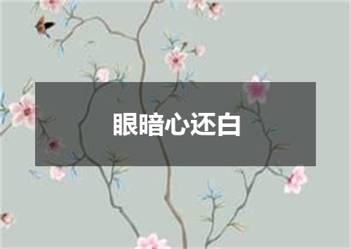 眼暗心还白