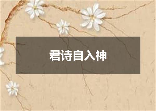 君诗自入神