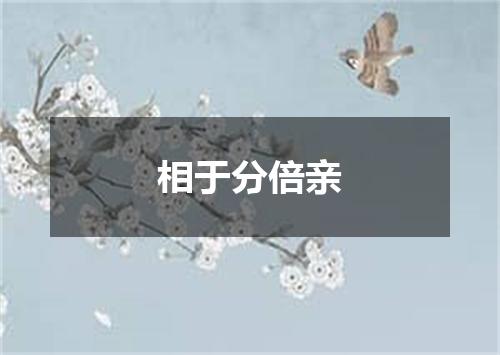 相于分倍亲