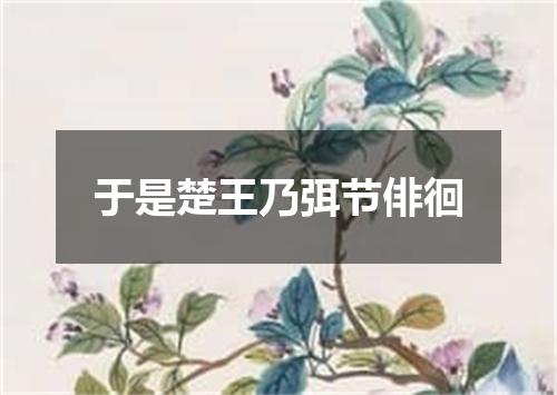 于是楚王乃弭节俳徊