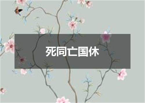 死同亡国休