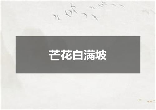 芒花白满坡
