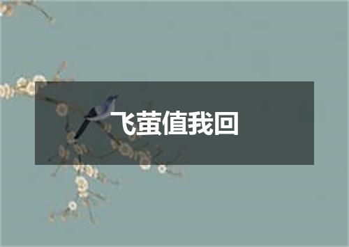 飞萤值我回