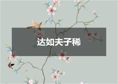 达如夫子稀