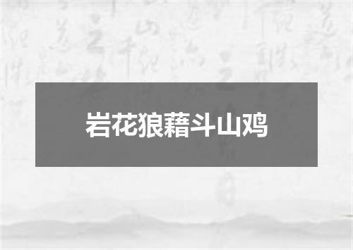 岩花狼藉斗山鸡
