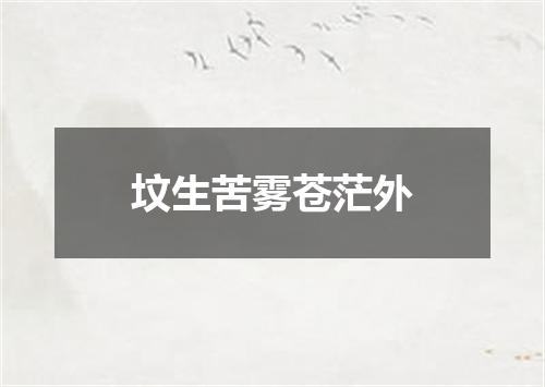 坟生苦雾苍茫外