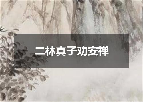 二林真子劝安禅