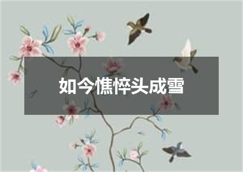 如今憔悴头成雪