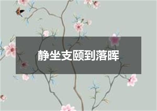 静坐支颐到落晖
