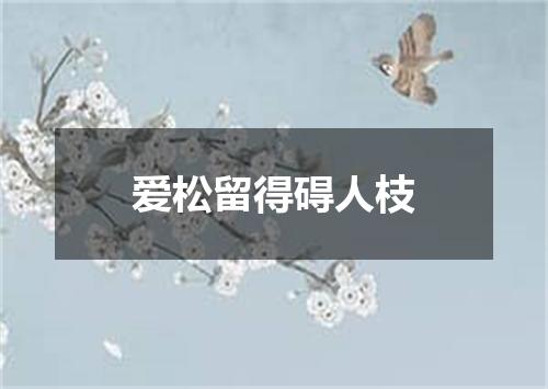 爱松留得碍人枝