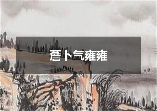 薝卜气雍雍