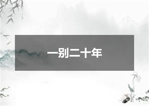 一别二十年