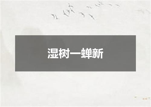 湿树一蝉新