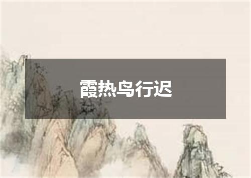 霞热鸟行迟