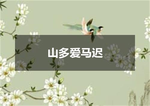 山多爱马迟