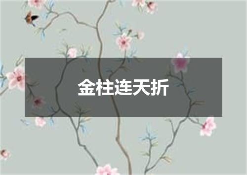 金柱连天折