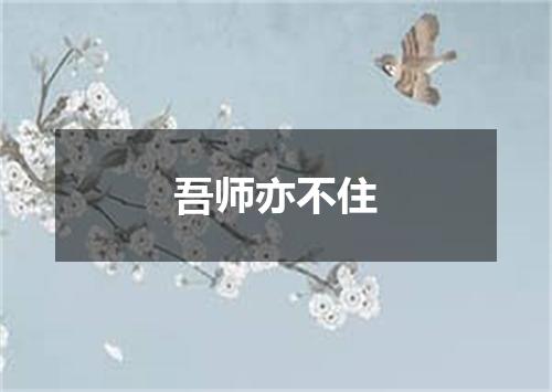 吾师亦不住