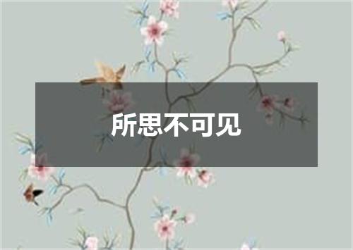 所思不可见