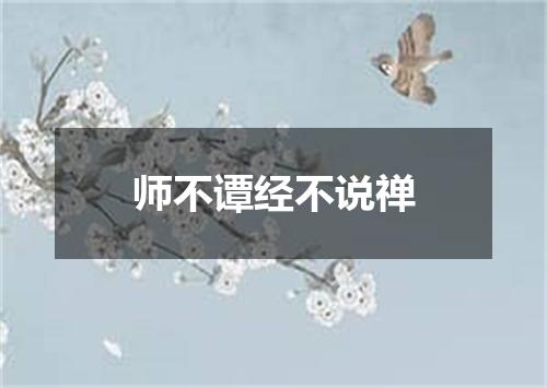 师不谭经不说禅