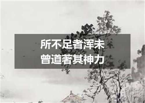 所不足者浑未曾道著其神力