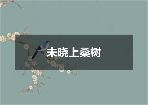未晓上桑树