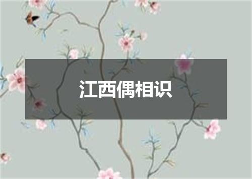 江西偶相识