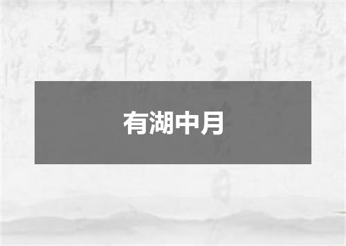 有湖中月