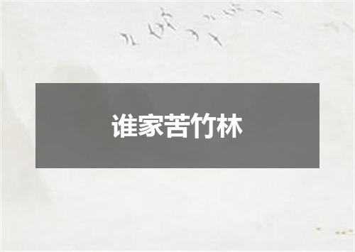 谁家苦竹林
