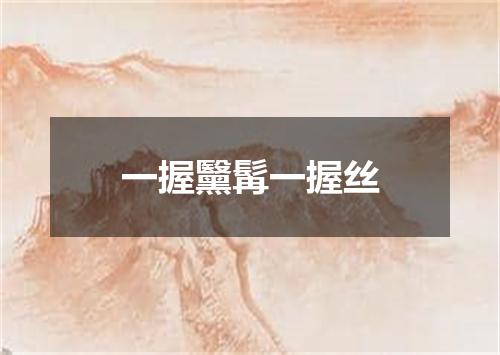 一握黳髯一握丝