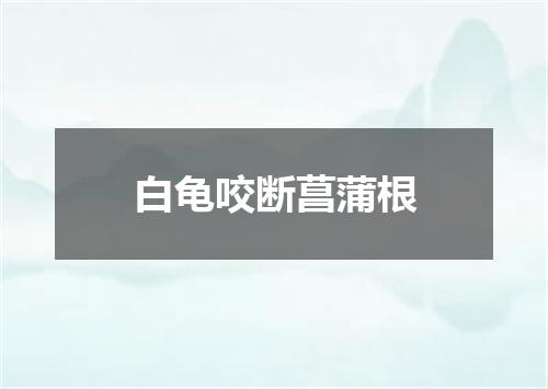 白龟咬断菖蒲根