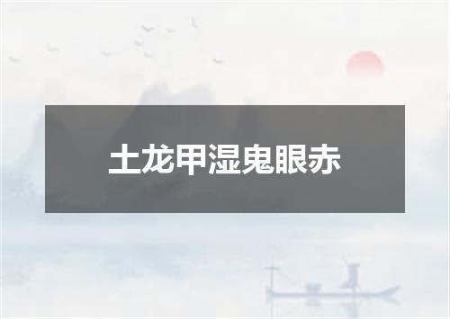 土龙甲湿鬼眼赤