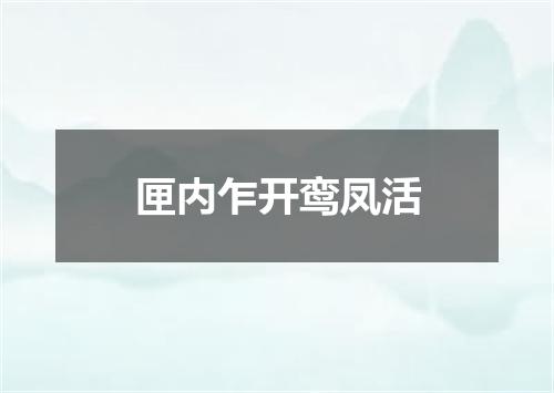 匣内乍开鸾凤活