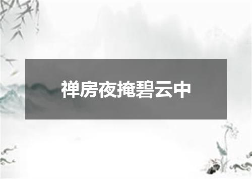 禅房夜掩碧云中