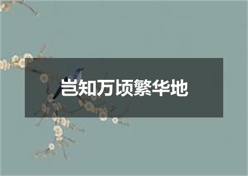 岂知万顷繁华地