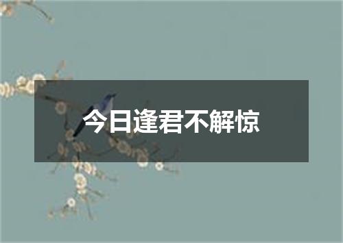 今日逢君不解惊