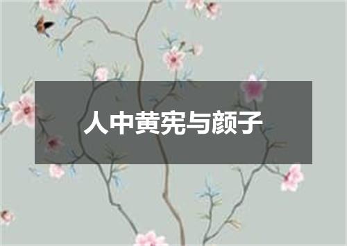 人中黄宪与颜子