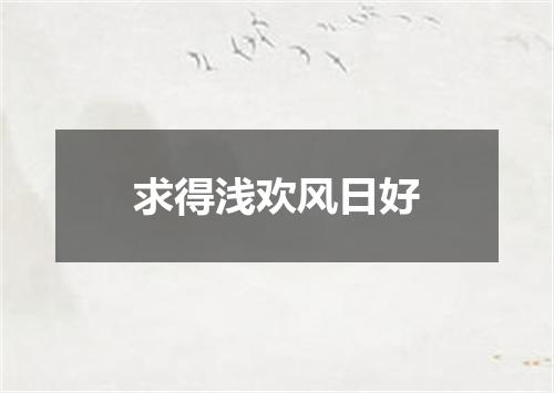 求得浅欢风日好