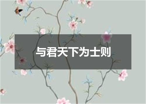 与君天下为士则