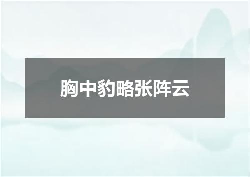 胸中豹略张阵云
