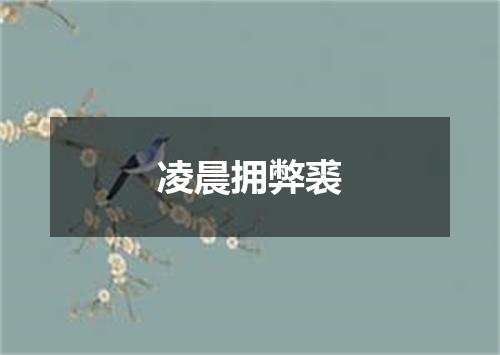 凌晨拥弊裘