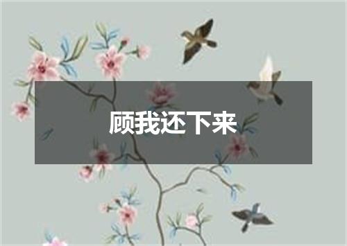顾我还下来